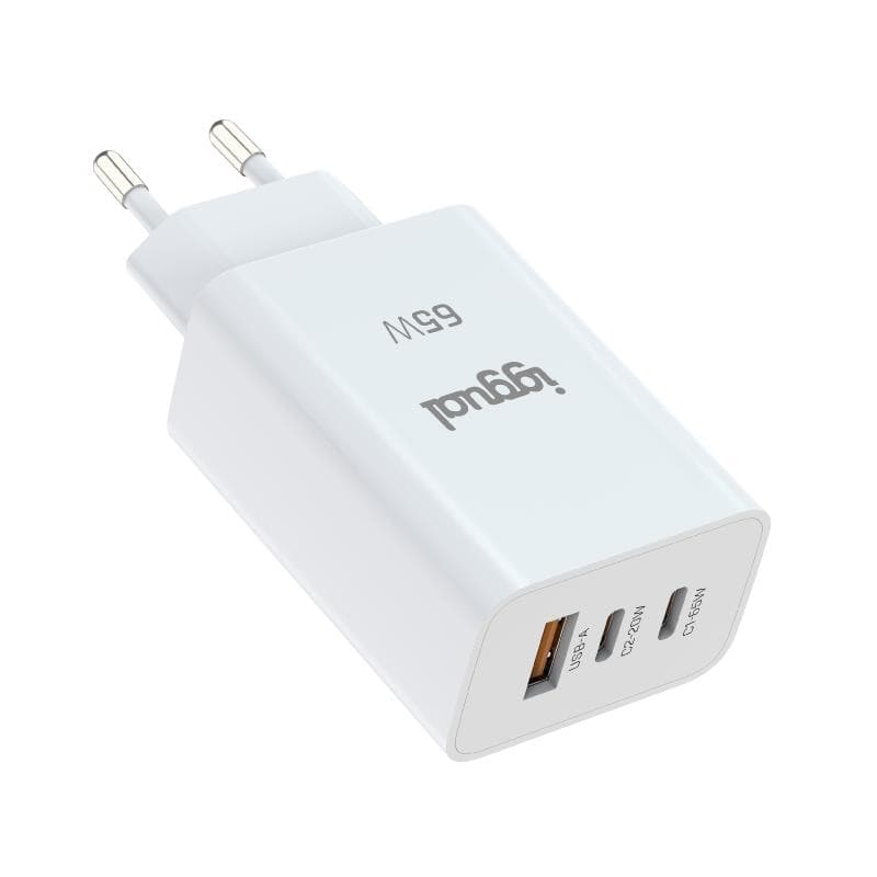 iggual Cargador triple USB-A + 2 x tipo C GaN 65 W